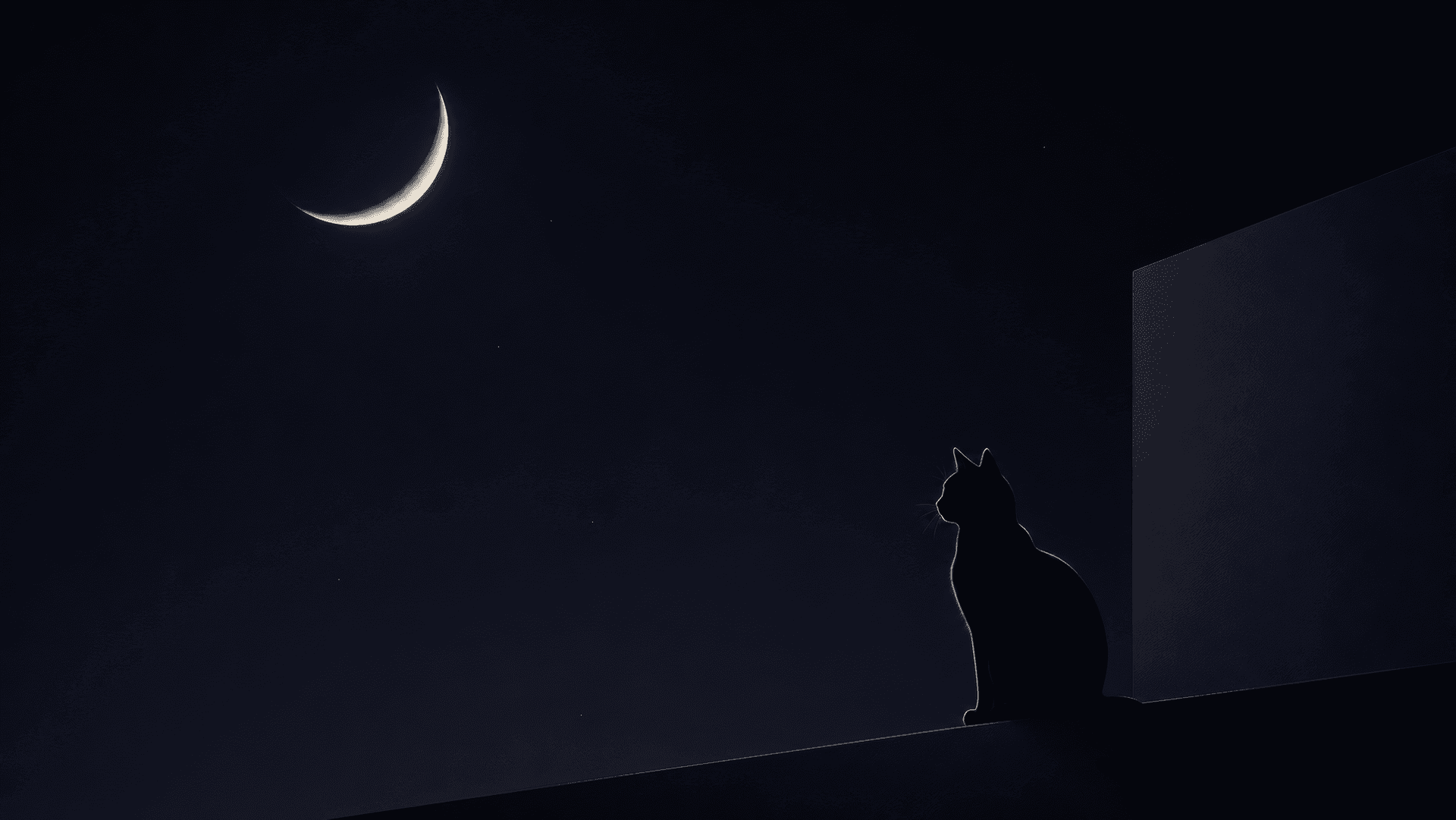 Midnight Silhouette wallpaper preview