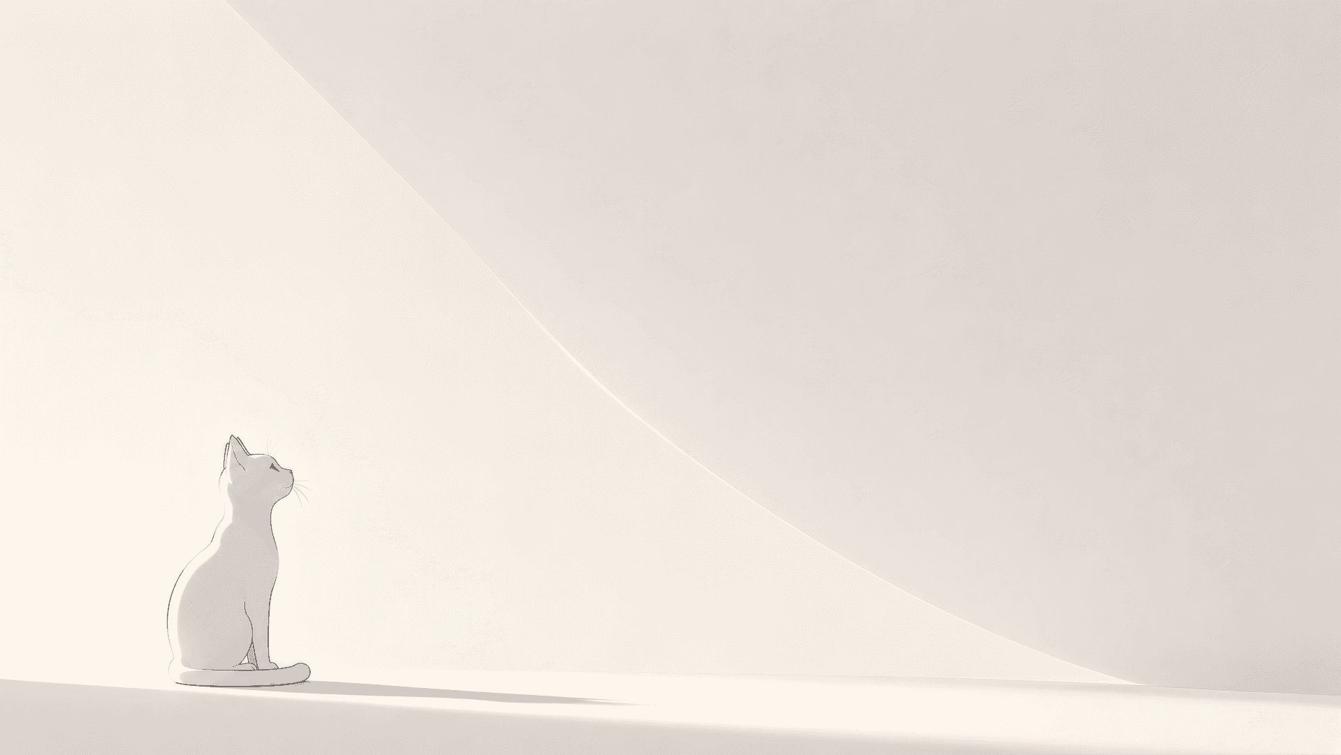 Sunlit Silhouette wallpaper preview