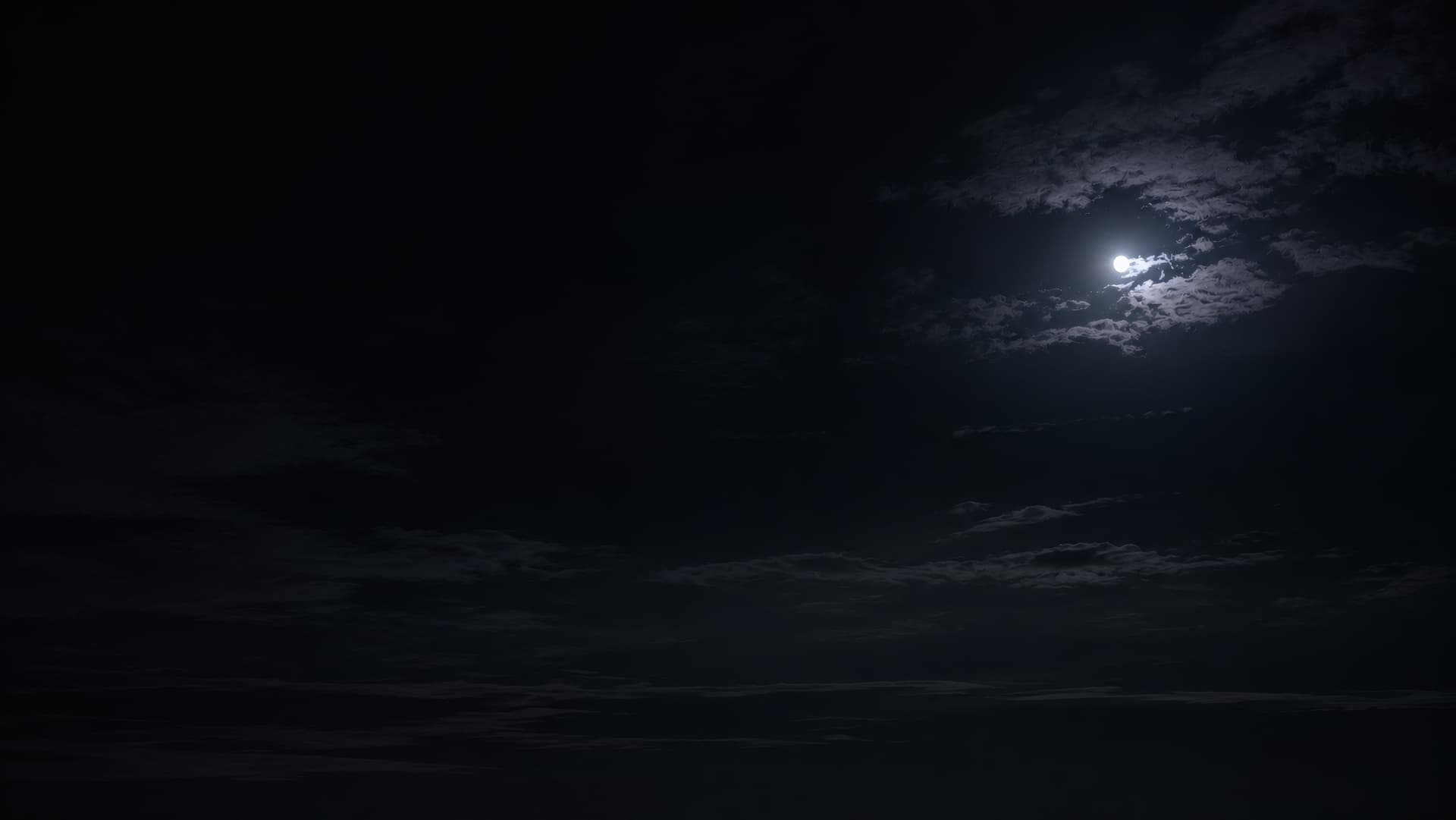 Moonlit Shadows wallpaper preview