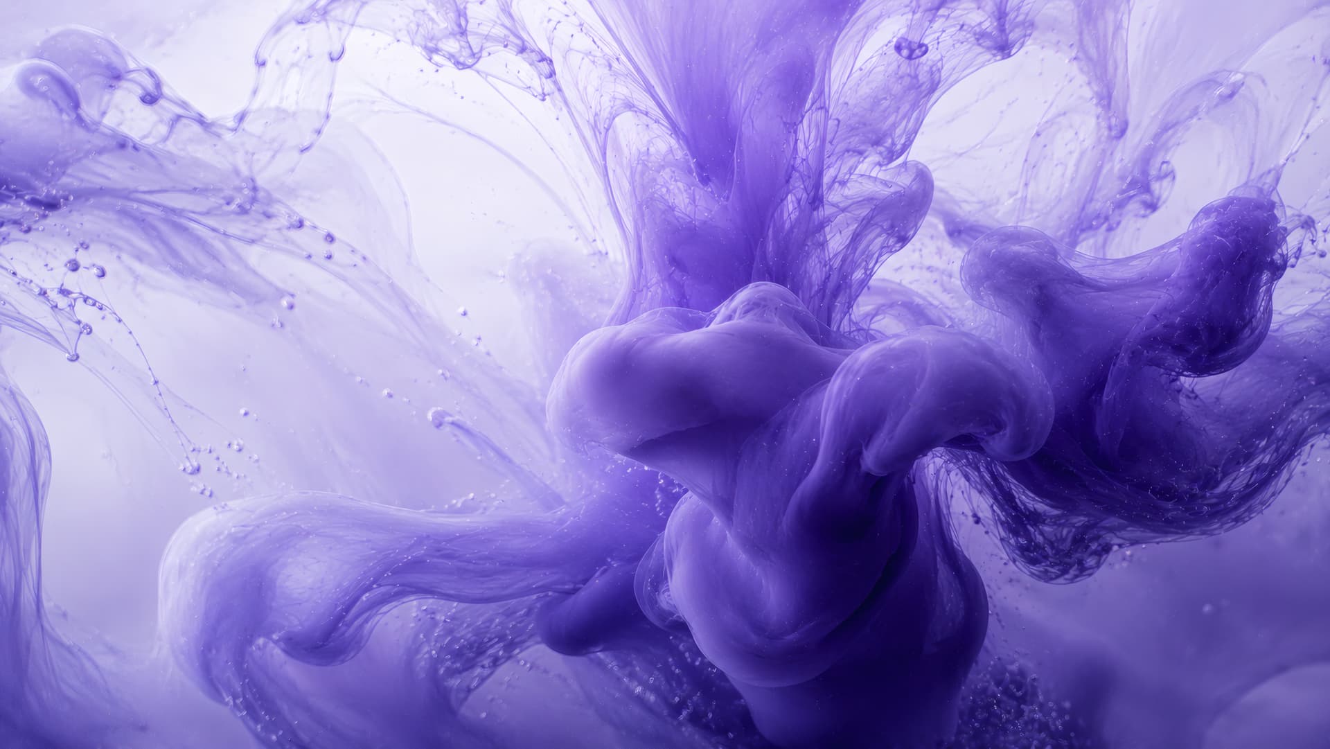 Purple Fluid Motion wallpaper preview