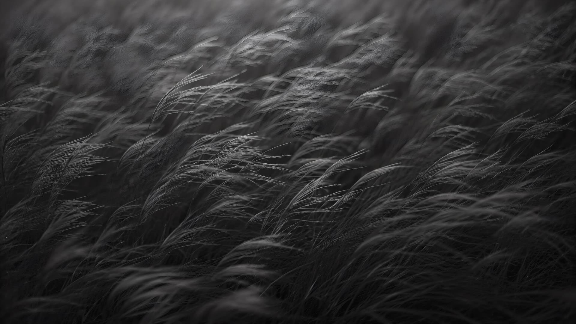 Windswept Shadows wallpaper preview