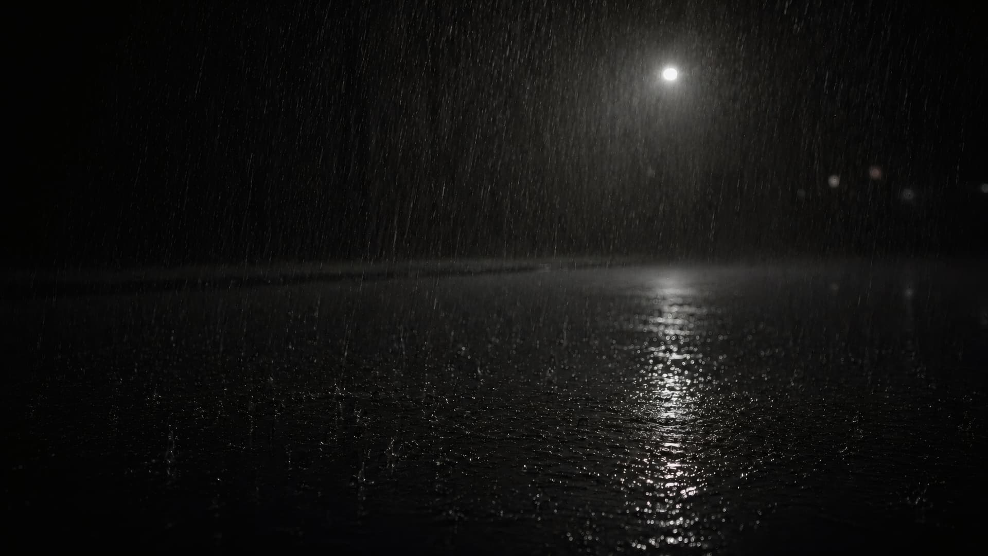 Rainlit Nocturne wallpaper preview